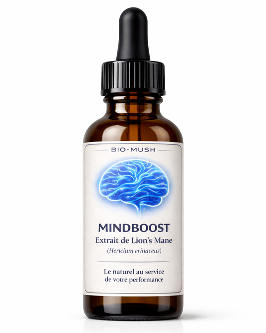 MindBoost – Concentration & Performance mentale