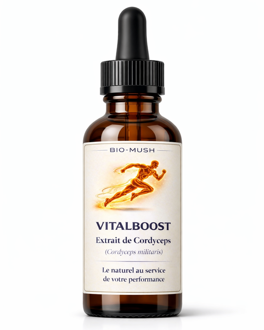 VitalBoost – Énergie naturelle & endurance au quotidien